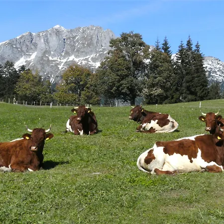 Farm stay Oberharreithhof