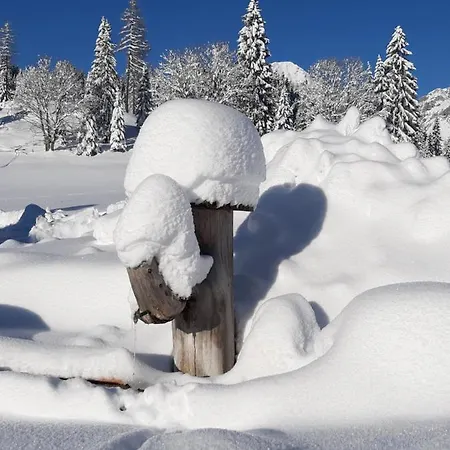 Farma Oberharreithhof *